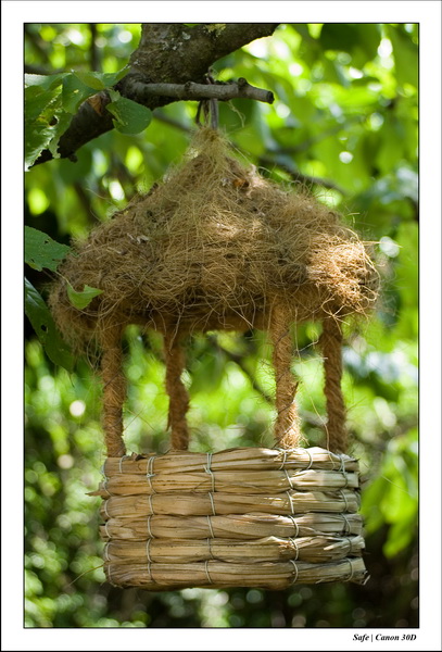 2006 - 05 - Jardin - 03